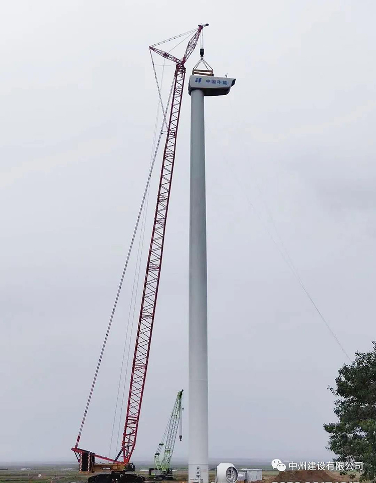 1639468741626542.jpg 24.jpg